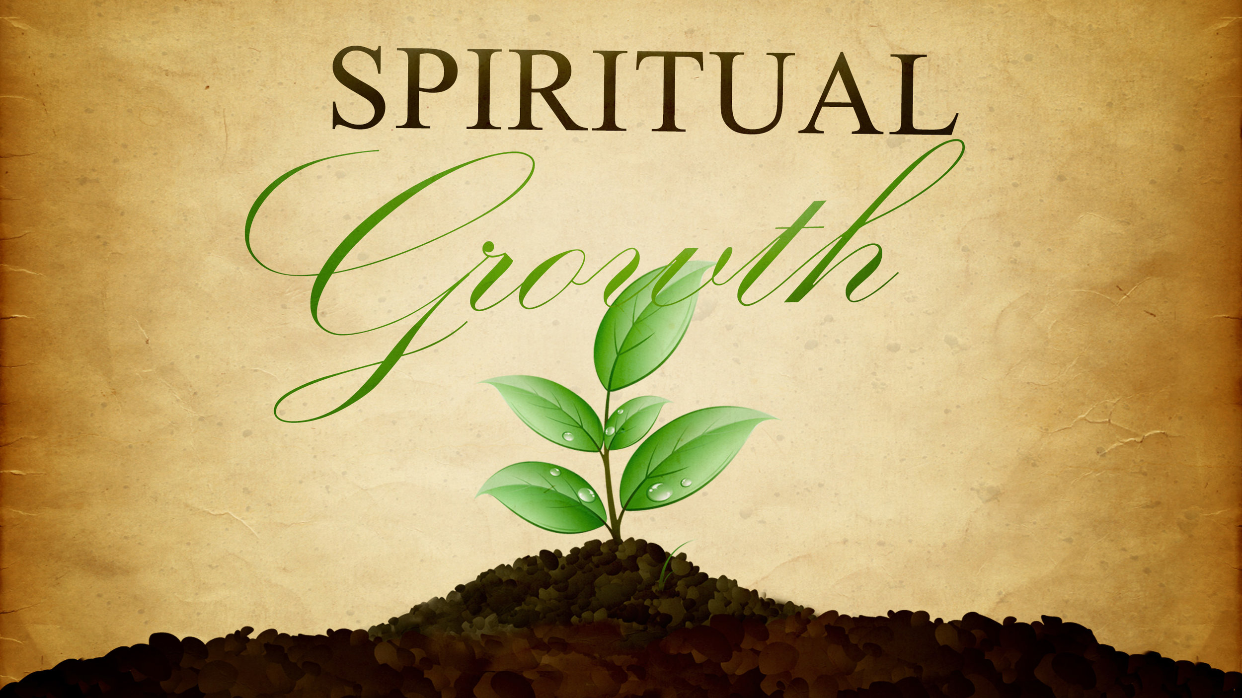 Spirit Filled Growth
